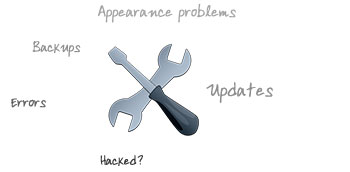 Maintenance & Bugfixing