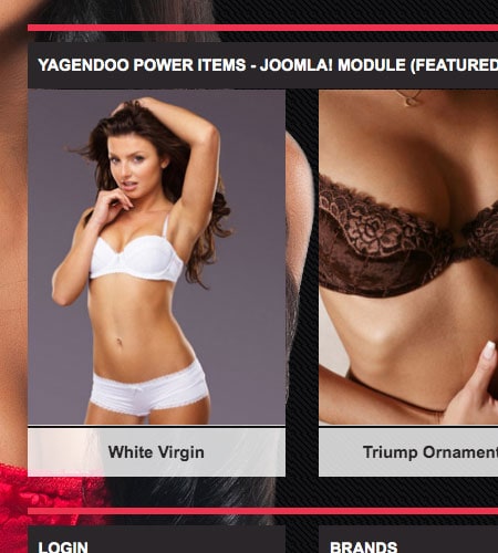 Lingerie – Joomla! Template | Demo-Pakete und Yagendoo Joomla! Module enthalten