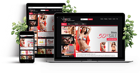 Lingerie - Joomla! Template | Features of the template